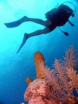 Diving in Trinidad