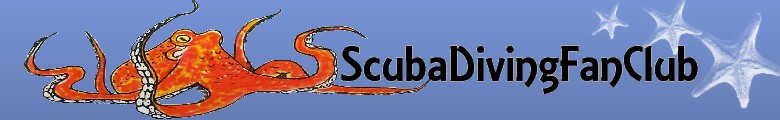 ScubaDivinFanClub.com_Banner