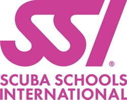 SSI Logo.