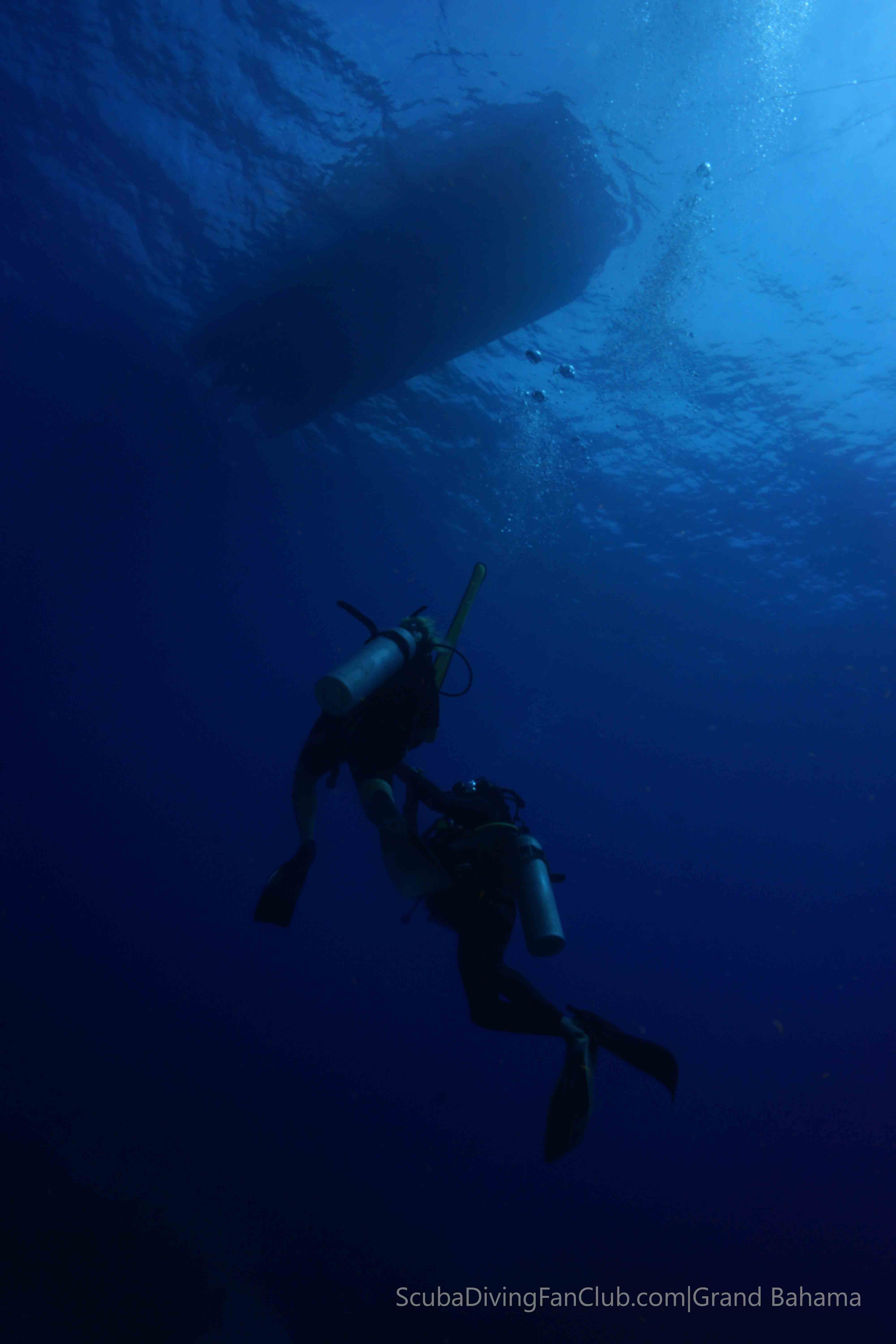 diving Grand-Bahama